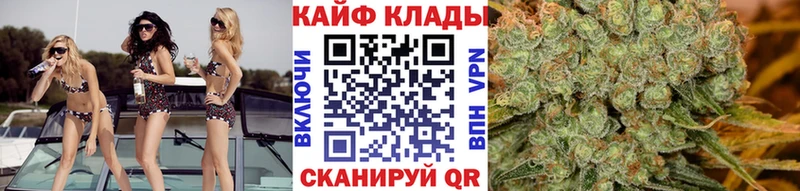  COCAIN Сольвычегодск