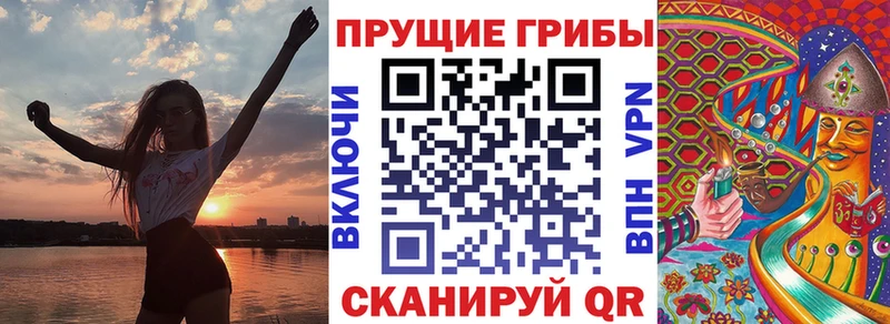 где купить   Сольвычегодск  Галлюциногенные грибы мицелий 